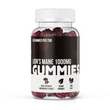 Lion's Mane Mushroom Complex Gummies